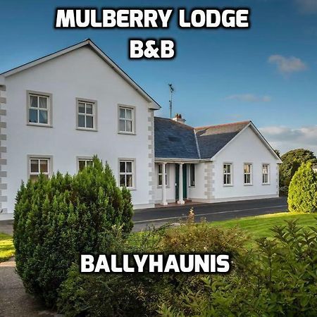 Mulberry Lodge Guest House 발리하우니스 외부 사진